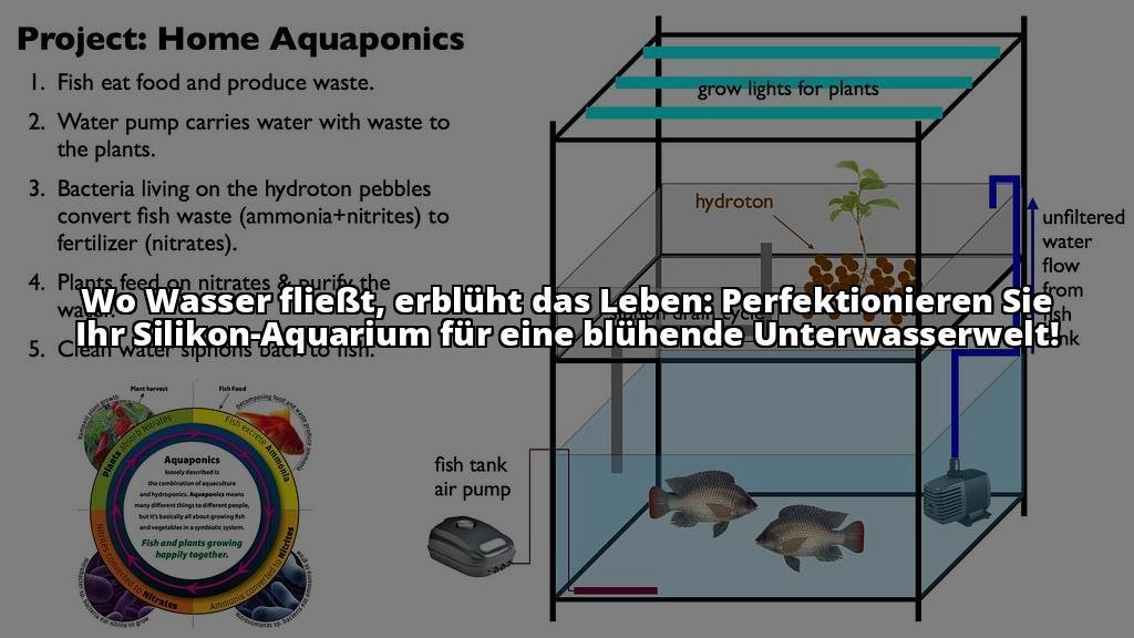 Silikon Aquarium: Die optimale Wahl für Aquarienliebhaber